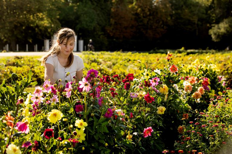 Frau sitzt im Blumenfeld und pflückt bunte Blumen