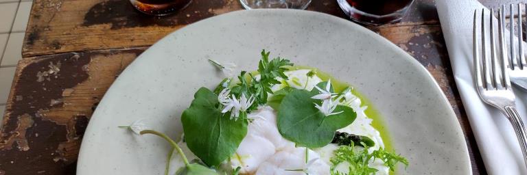 Smuk gourmet anretning i grønne og hvide nuancer på tallerken